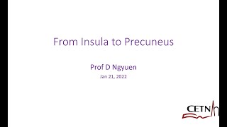 From Insula to Precuneus: Prof Dang Ngyuen, Montreal