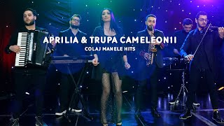 Aprilia ✘ Trupa Cameleonii Dan Bursuc ✘ Colaj Manele ✘ Cover Hits