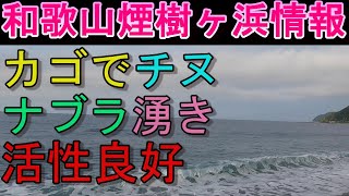 08-19　煙樹ヶ浜釣り情報・取材編