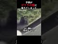 ゴリラの檻に落ちてしまった子供