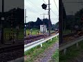 トンネル抜けるサメ🦈 鉄道 撮り鉄 電車 鉄道ファン 貨物列車 貨物