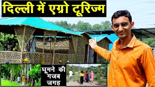 शिमला, मनाली छोड़िए दिल्ली में यहां जाइए Agro Eco Health Tourism का गजब मॉडल || Technical Farming