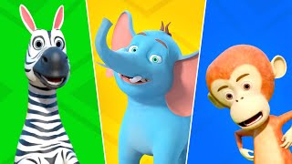 Animal Dance Song, Nursery Rhymes and Cartoon Videos for Kids