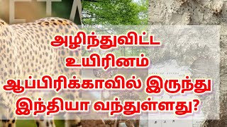 அழிந்துவிட்ட உயிரினம் ஆப்பிரிக்காவில் இருந்து இந்தியா வந்துள்ளது? | புதிய உயிரினம் | Newly come