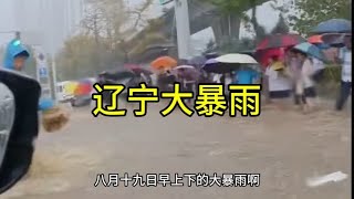 辽宁大连遭遇大暴雨，上班路上的市民卷起裤脚，水都涨到膝盖了