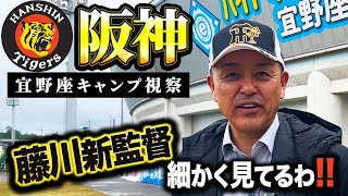 【沖縄キャンプ取材】阪神キャンプ取材で見えたものとは…？イチオシの宿も紹介！