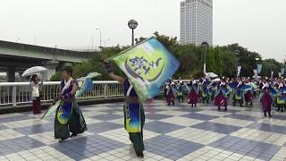 【公式】よさ朗2017　りんくうゑぇじゃないか祭り　海への道パレード②