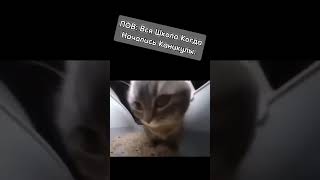 ПОВ: Когда Начались Каникулы 🤣🤣🤣#школа #жиза #мемы #memes #shorts #lol #trending #viral #sub2me