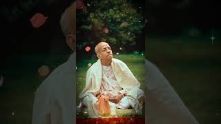 Srila Prabhupada