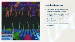 Genetic Transfer in Bacteria: Prevent the rise of superbugs! | Virtual Lab