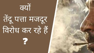 क्यों तेंदू पत्ता मजदूर विरोध कर रहे हैं? | Tendu leaf \u0026 its importance