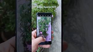 Xperia XZ3 Camera #shorts #sonyphone #sonyxperia