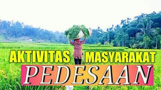 aktivitas masyarakat pedesaan dalam kehidupan sehari hari // suasana persawahan desa