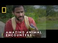 The Amazing Animals Of The Amazon | Primal Survivor: Escape The Amazon | National Geographic UK