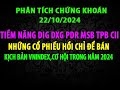 VNINDEX Đã Rủi Ro Chưa, Dòng Dẫn Tiềm Năng Bank, Bất Động Sản, PT DIG NVL HDC DXG PDR SHB MSB TPB...