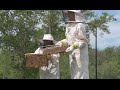 RIT Beekeepers in :30