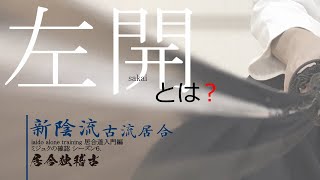 【新陰流居合】そもそも「左開」て何ですか？  shinkageryu iai alone training