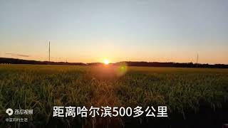 我花9万买的黑龙江北大荒290农场别墅，别墅有农场预售合同属国资