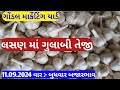 આજના લસણ ના બજાર ભાવ ગોંડલ | lahsun ka bhav Gondal | Gondal market yard na bajar bhav 11/09/2024