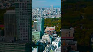Views from Shibuya sky, of Tokyo city | Amazing Japan Travel Adventure Documentary