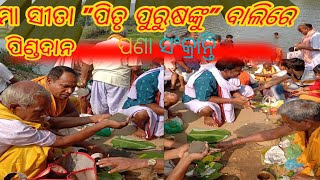 Bali pinda dana.meetsepindadan ସାତ ପୁରୁଷଙ୍କୁ ବାଲି ପିଣ୍ଡଦାନ। ବାଲି ପିଣ୍ଡଦାନ।