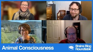 "Animal Consciousness" | A Brains Blog Roundtable Discussion