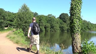 106: Cannop Ponds, Bixslade and Wimberry Slade (Forest of Dean 2018)