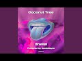 Coconut Tree