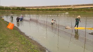 ［魚塭］漁塭 圍網 捕撈［阿奇］Đánh bắt cá ตกปลา 釣り Fishing