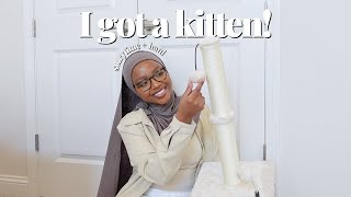i adopted a kitten.. 🐱🤍 let's prep!