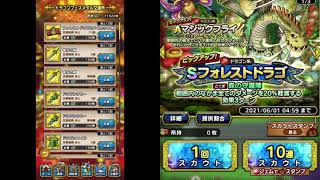 ドラクエタクト　フォレストドラゴSPスカウト20連ガチャ引いてきた！！