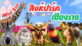 Mini Zoo สิงห์ปาร์ค เชียงราย สวนสัตว์เล็กที่เด็กๆหลงรัก ไปเชียงรายแล้วห้ามพลาดเลยนะ ล่าสุด 2025