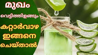 മുഖം വെട്ടിത്തിളങ്ങും കറ്റാർവാഴ ഇങ്ങനെ ചെയ്താൽ|Aloevera gel | Malayalam