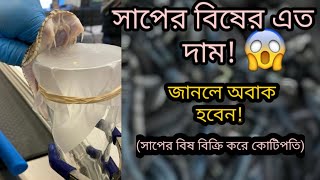 সাপের বিষের এতো দাম কেন?  ||  Why Snake Venom is so Expensive! ||  SH u VO