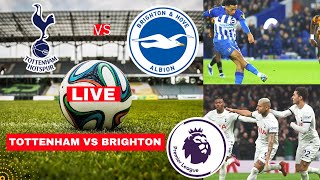 Tottenham vs Brighton Live Stream Premier League Football EPL Match Today Score Highlights Spurs FC