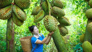 Harvesting Durian \u0026 Goes To Market Sell | Gardening And Cooking | Lý Tiểu Vân