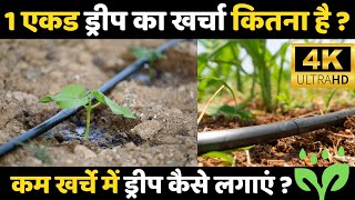 1 एकड़ में ड्रिप का खर्चा कितना आता है,ड्रिप का पूरा खर्चा-लाइफ,Drip Irrigation Cost,Drip Price Acre