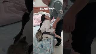 夫妻日常 感人一幕 小两口 宠妻 亲亲抱抱举高高