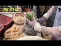 칠석정 succulents 多肉植物