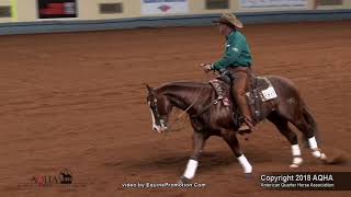 2018 AQHA Senior Working Cow Horse