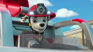 PAW Patrol: All Fire Rescue Pups In Action | Pups Save the Big BBQ scene | Marshall leads the team!