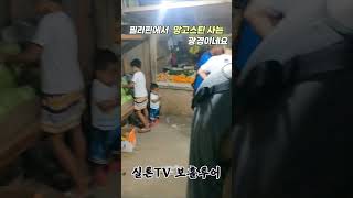 보홀투어(망고스틴)