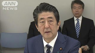 安倍総理　児童ら殺傷事件受け通学路の安全確保指示(19/05/29)