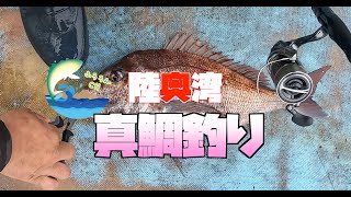 【陸奥湾　鶏沢漁港】真鯛釣り