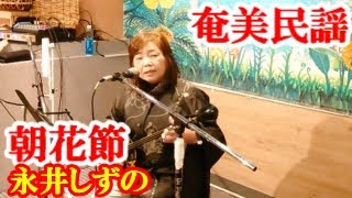 朝花節　永井しずの　奄美民謡　奄美シマ唄　amami【字幕】