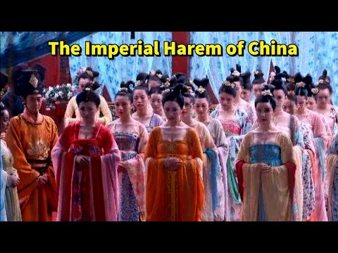 The Imperial Harem of China : 20,000 Women and 100,000 Castrated Men to Serve the Emperor