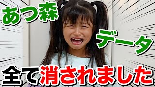 お兄ちゃんがあつ森のソフトを洗濯してしまいました。