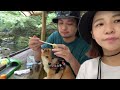 【柴犬】nipponia美濃商家町がお洒落すぎた【旅行】