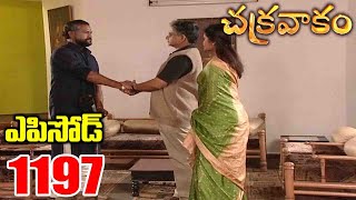 Episode 1197 | Chakravakam Telugu Daily Serial | Srikanth Entertainments | Loud Speaker