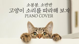 소봉봉\u0026소반반 - 고양이 소리를 따라해 보자 | 신기원 피아노 커버 연주곡 Piano Cover